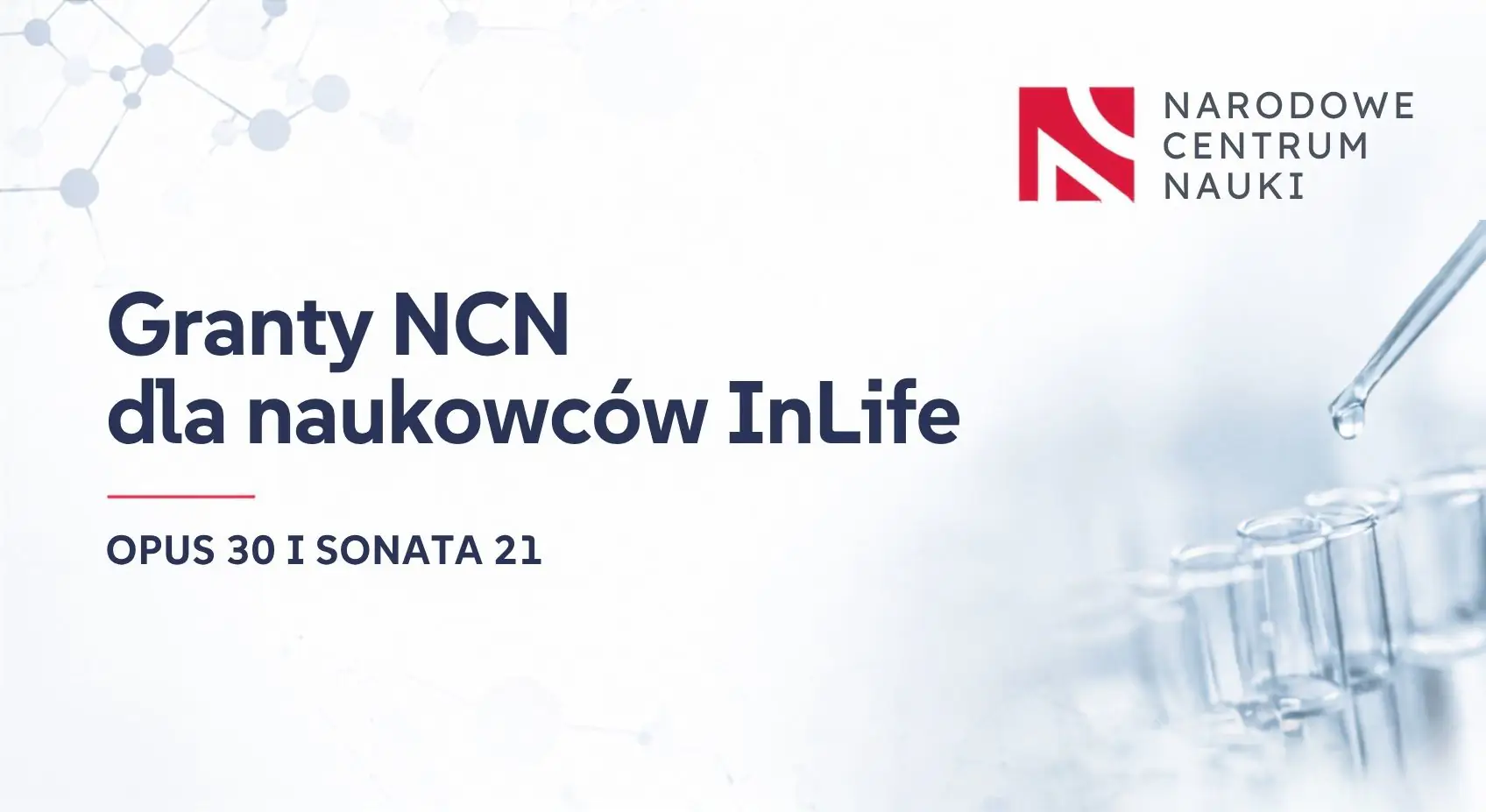 grafika + logo NCN