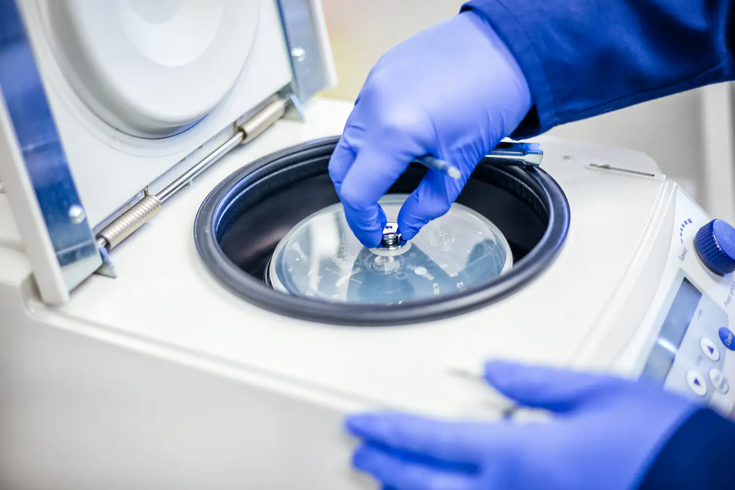 Dłonie badacza w niebieskich rękawiczkach zamykające pokrywę rotora w wirówce laboratoryjnej.