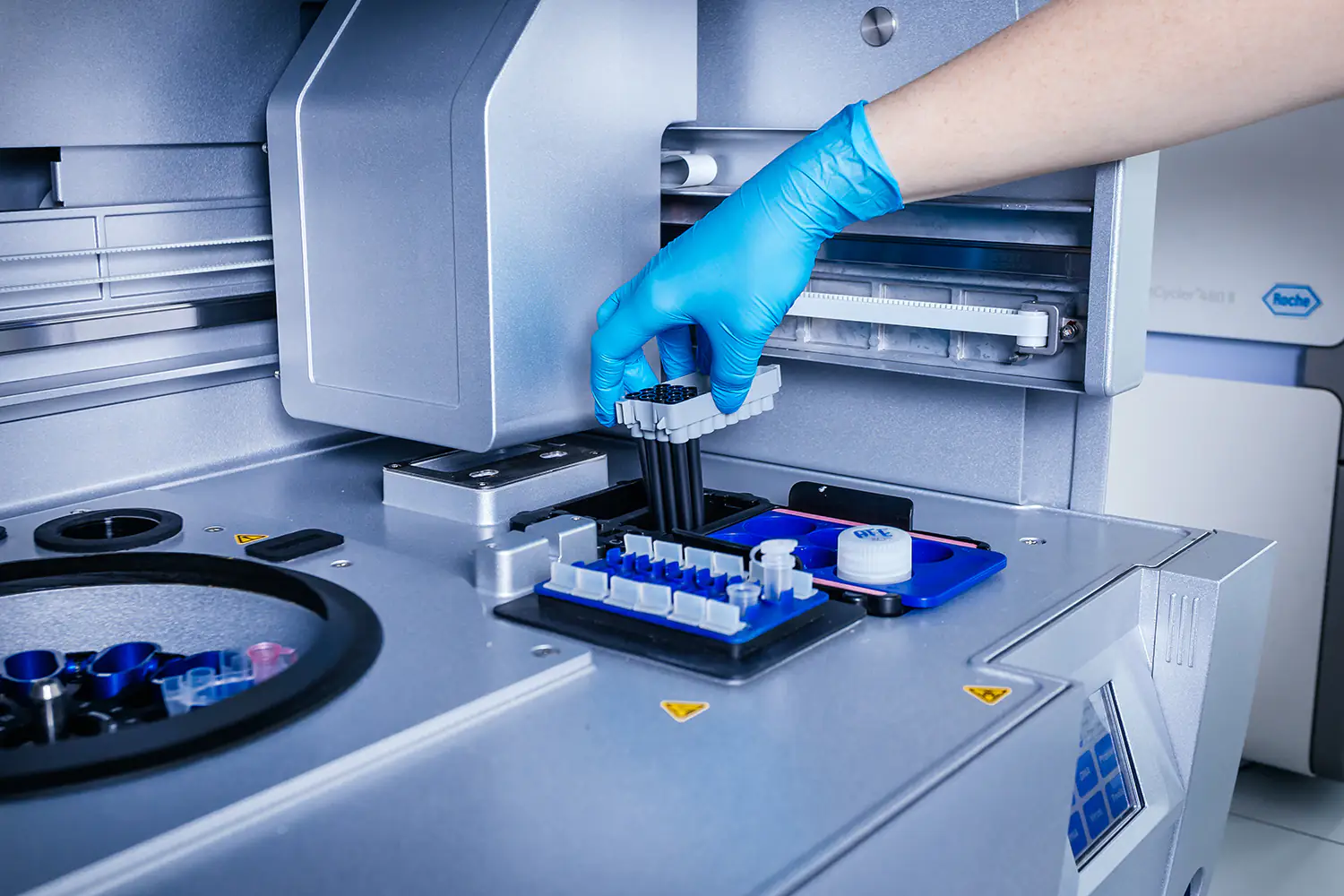 Dłoń badacza w niebieskiej rękawiczce umieszczająca próbki w zautomatyzowanym analizatorze laboratoryjnym Roche.