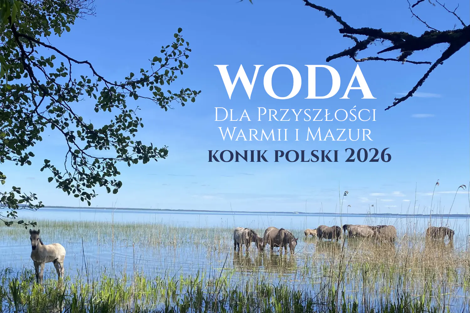 Baner: XXIII Konferencja Naukowa Młodych Badaczy – Bezpieczeństwo i jakość żywności (27 października 2026).